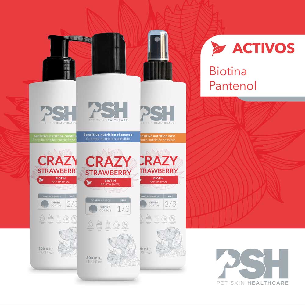 PSH Shampoo Crazy Strawberry Hogar (Manto Corto)