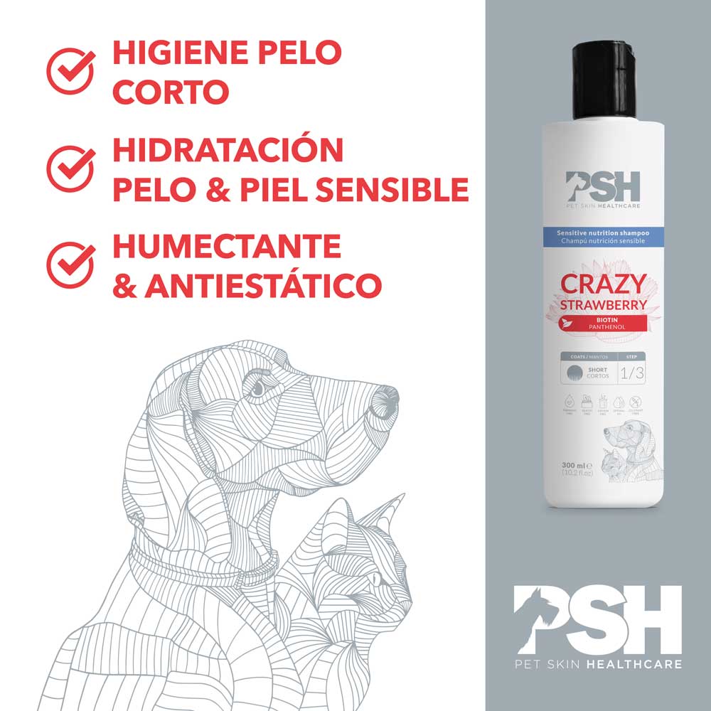 PSH Shampoo Crazy Strawberry Hogar (Manto Corto)