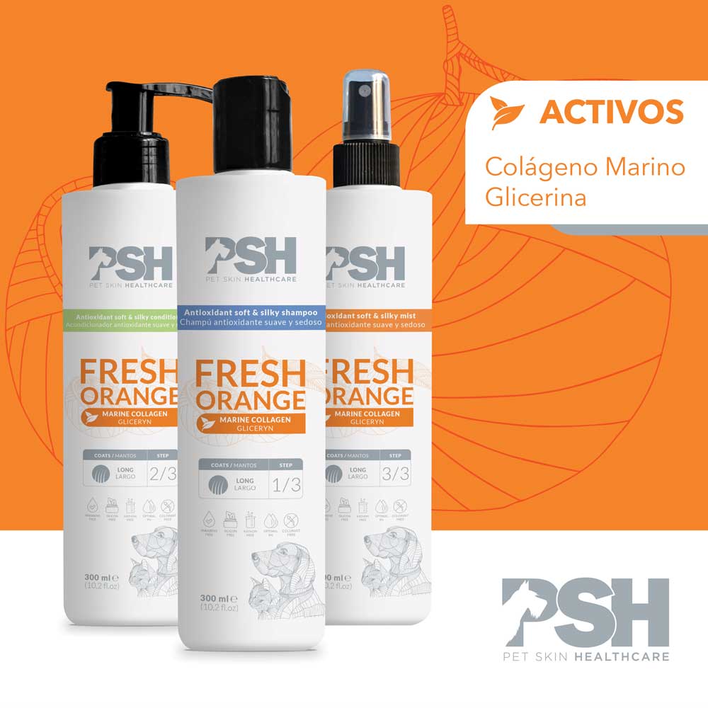 PSH Shampoo Fresh Orange Hogar (Manto Largo)