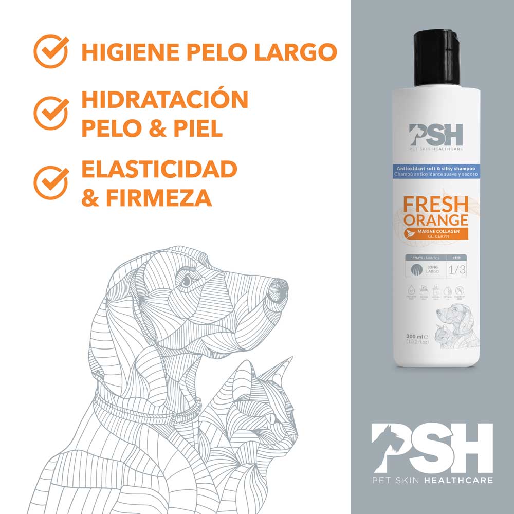 PSH Shampoo Fresh Orange Hogar (Manto Largo)